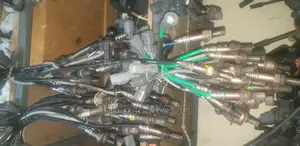 Oxygen Sensors