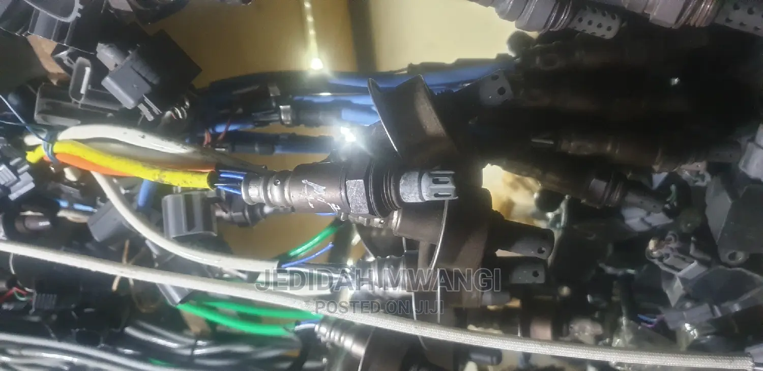 Oxygen Sensors