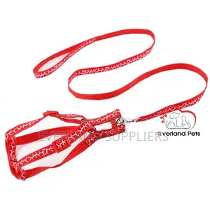 Puppy Leash