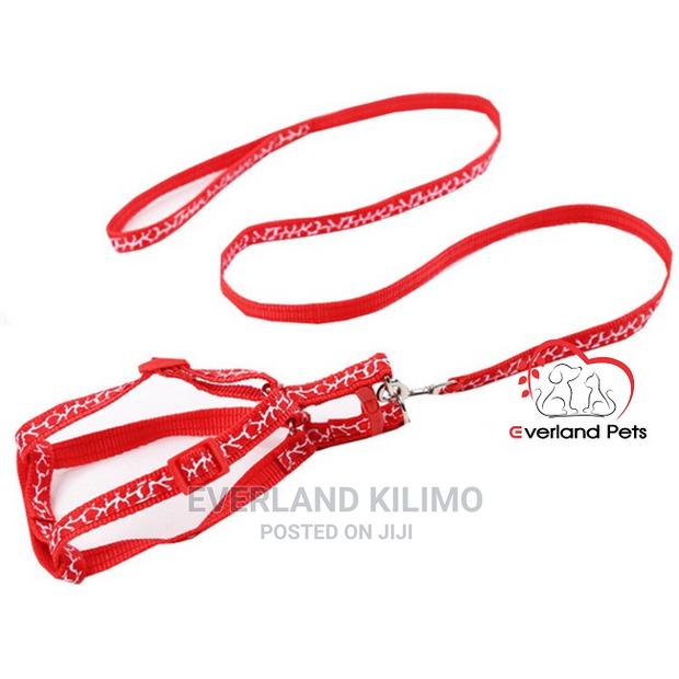 Puppy Leash - thumbnail 3