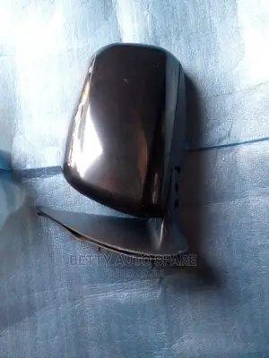 Vigo Side Mirror