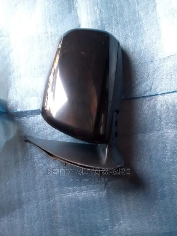 Vigo Side Mirror
