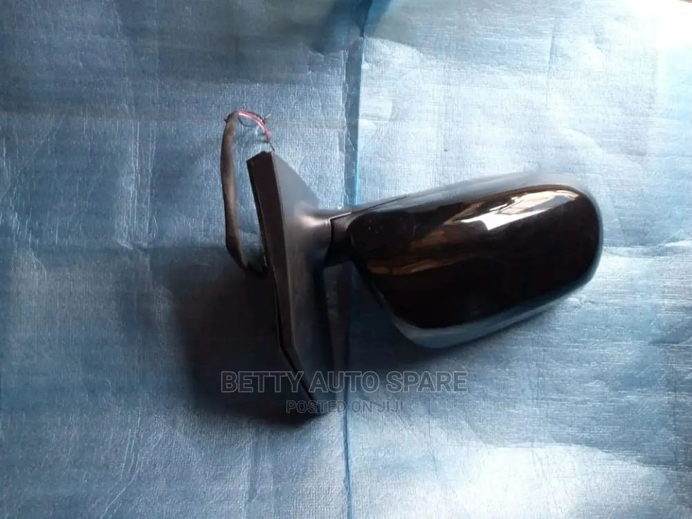 Vigo Side Mirror