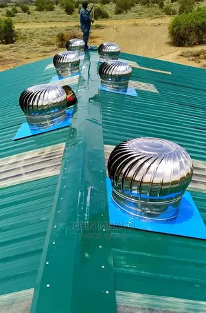 Wind Driven Cyclone/Air Ventilator Supplier
