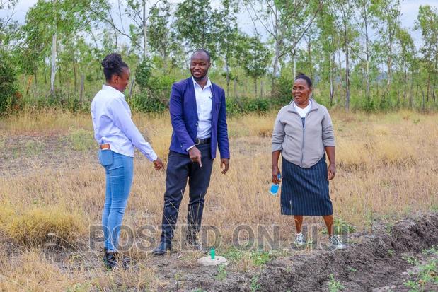 Kamulu Prime Plots - main view