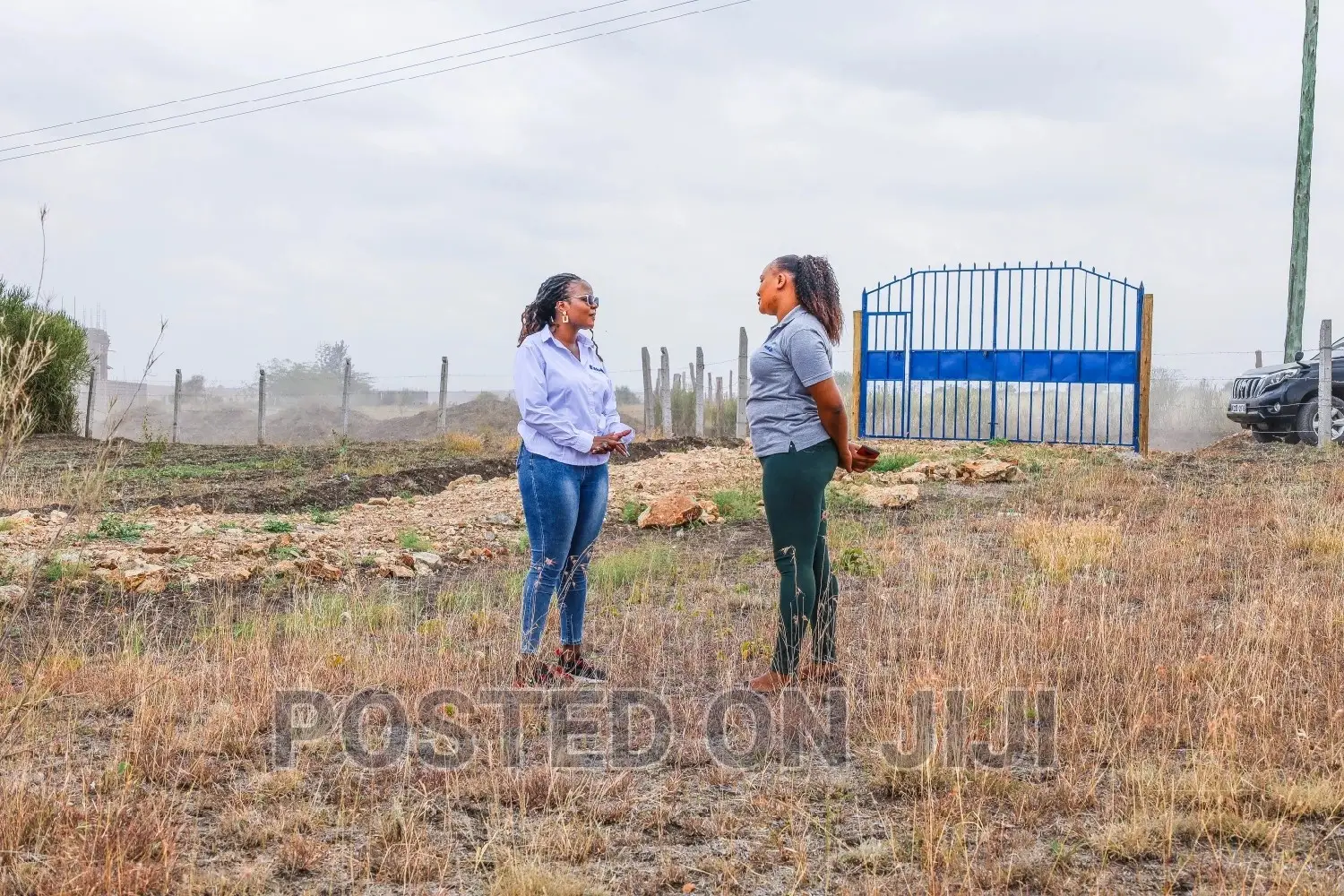 Prime Plots in Kamulu.