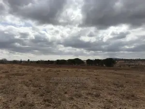 10 Acre Konza