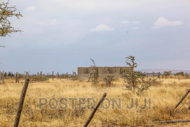 Cheap Plots - main view