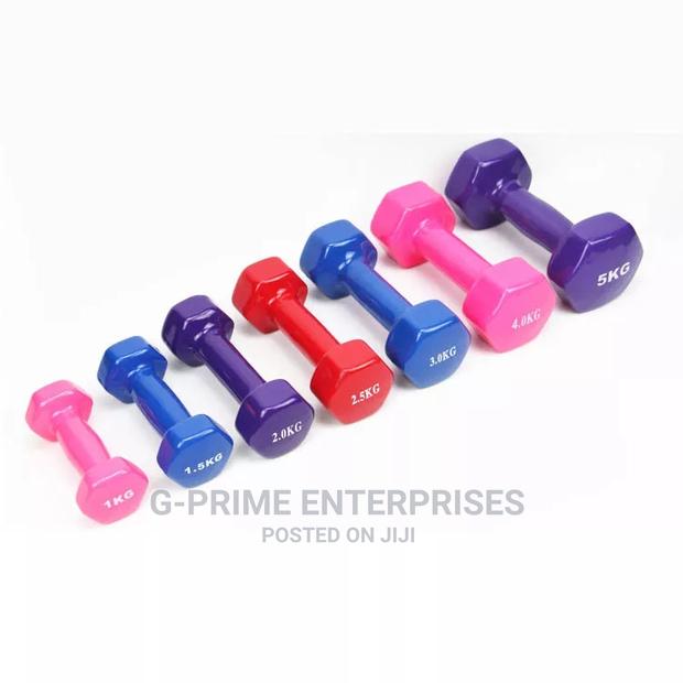 Vinyl Dumbbells - main view