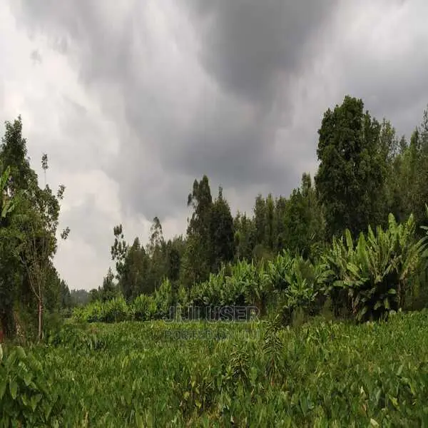 Slightly More Than 1⁄2 Acre Land for Sale at Ngenda in Ngenda Land