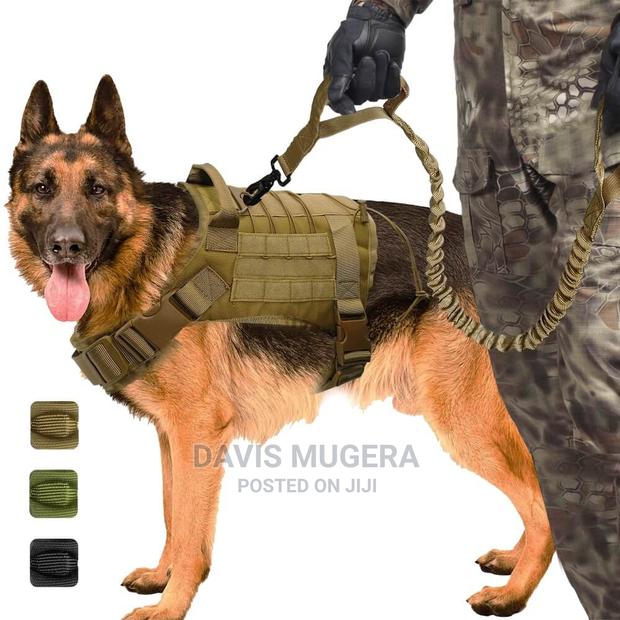 Tactical Military Training Bungee Elastic Dog Leash 96CM - thumbnail 5