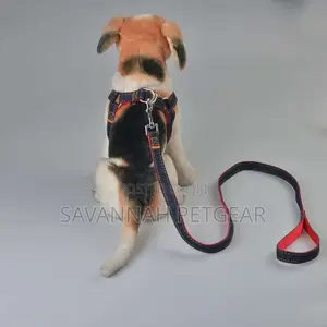 Adjustable Denim Dog Leash and Harness Set