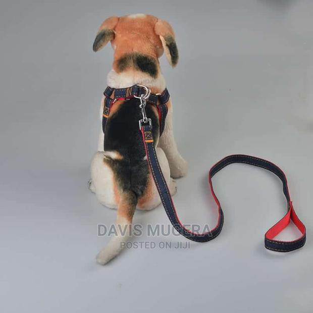 Adjustable Denim Dog Leash and Harness Set - main view