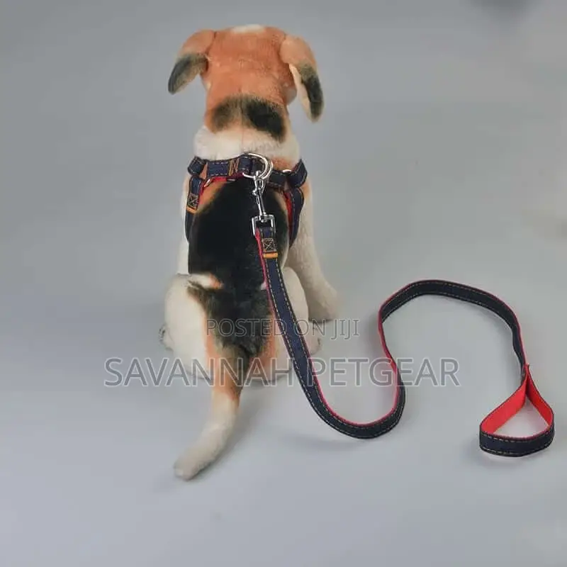 Adjustable Denim Dog Leash and Harness Set