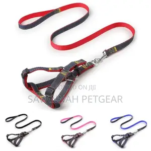Adjustable Denim Dog Leash and Harness Set