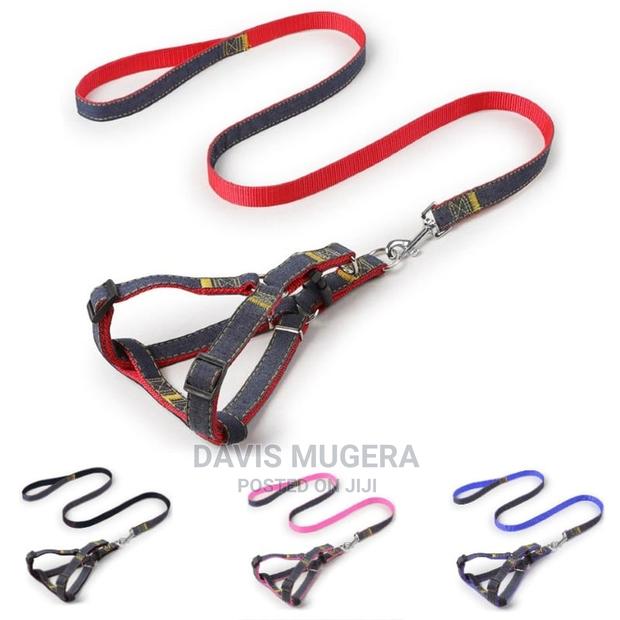Adjustable Denim Dog Leash and Harness Set - thumbnail 3
