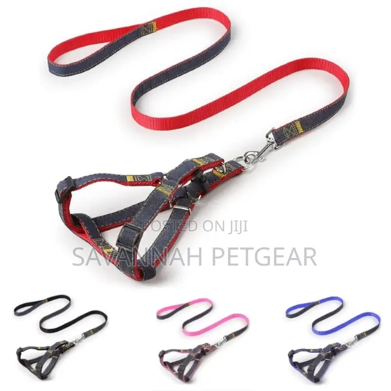 Adjustable Denim Dog Leash and Harness Set