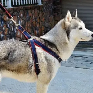 Adjustable Denim Dog Leash and Harness Set