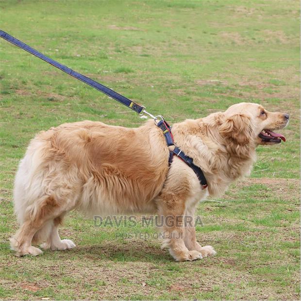 Adjustable Denim Dog Leash and Harness Set - thumbnail 5