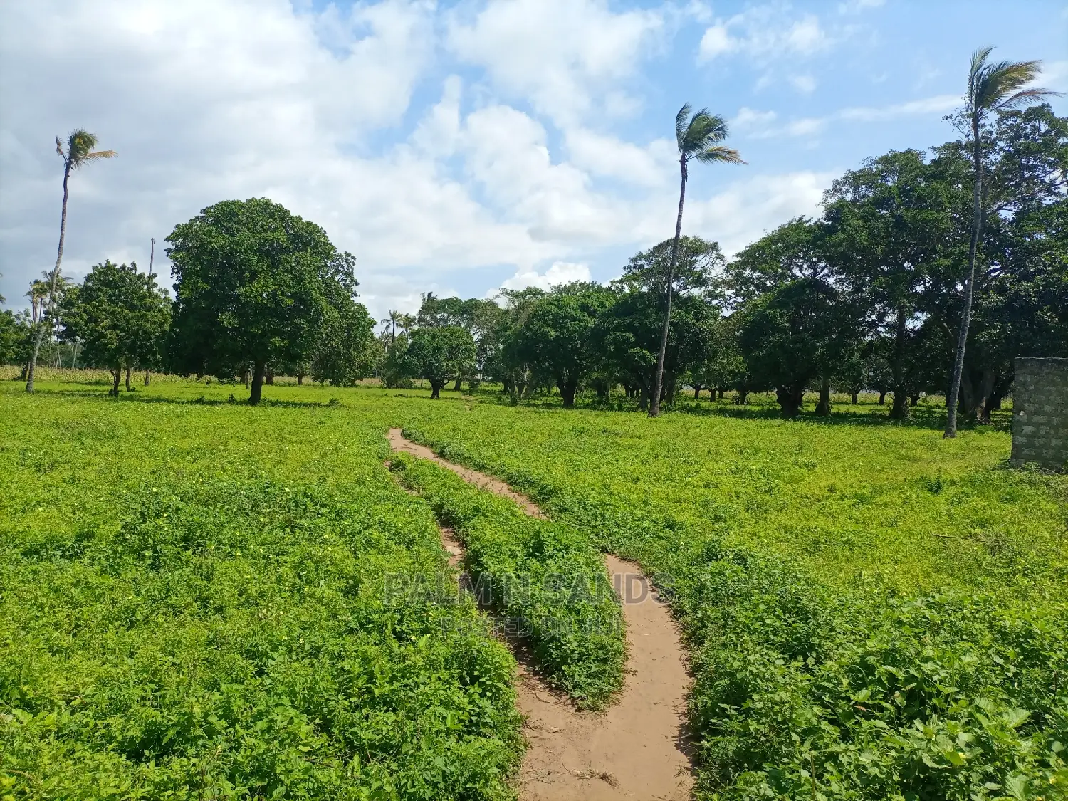 Mtwapa Prime Quarter Acre Plots
