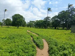 Mtwapa Prime Quarter Acre Plots