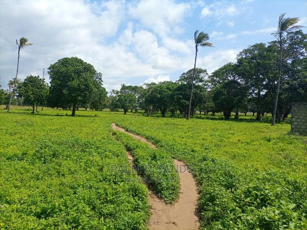 Mtwapa Prime Quarter Acre Plots - thumbnail 4