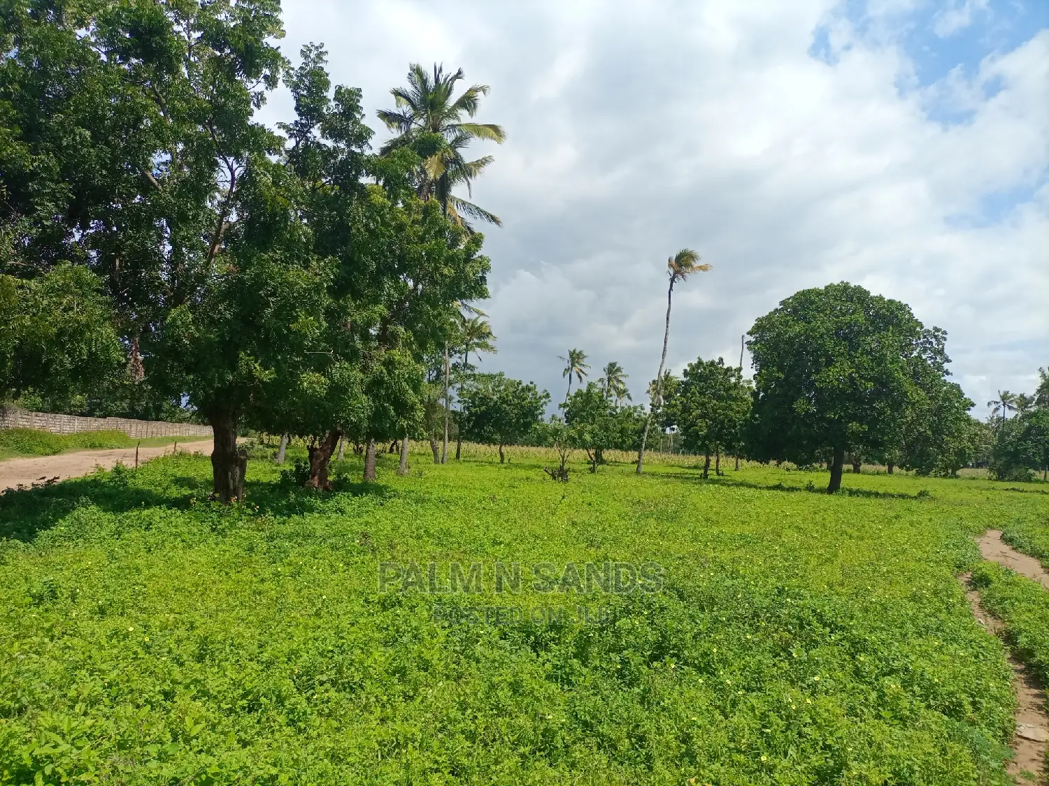 Mtwapa Prime Quarter Acre Plots