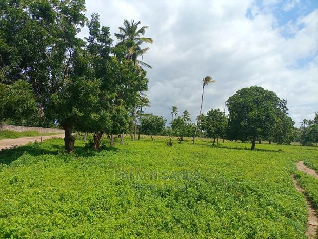 Mtwapa Prime Quarter Acre Plots - thumbnail 3