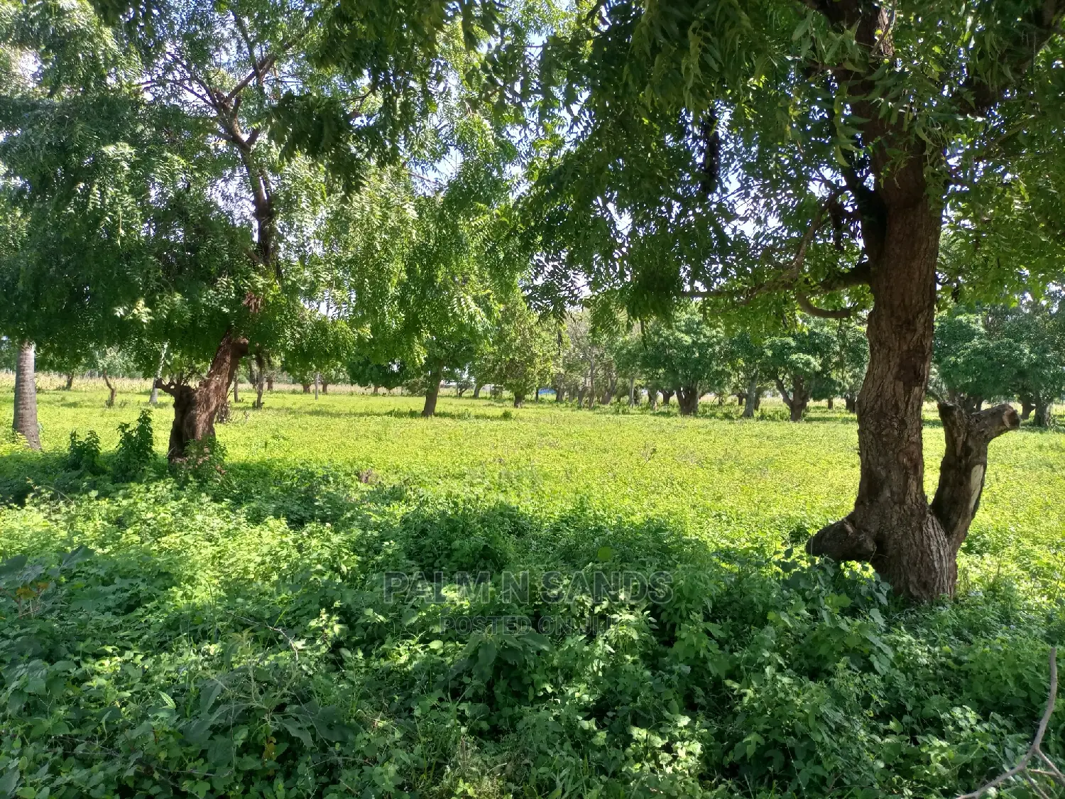 Mtwapa Prime Quarter Acre Plots