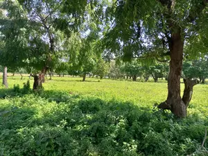 Mtwapa Prime Quarter Acre Plots