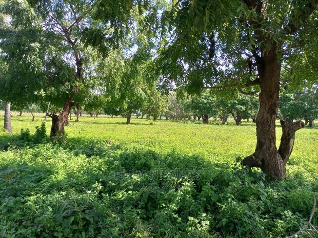 Mtwapa Prime Quarter Acre Plots - thumbnail 2