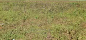 Prime Plots on Sale in Marura Kimumu Near Highway in Eldoret