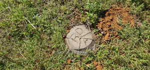 Prime Plots on Sale in Marura Kimumu Near Highway in Eldoret