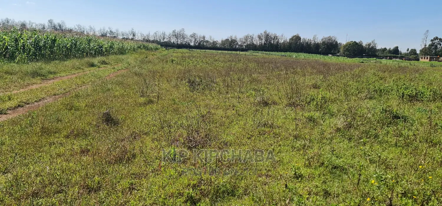 Prime Plots on Sale in Marura Kimumu Near Highway in Eldoret