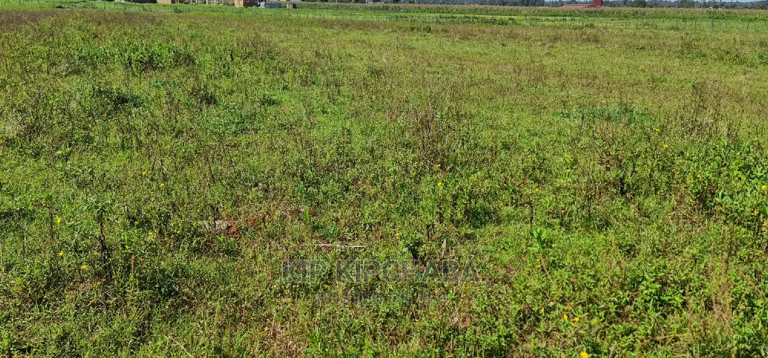 Prime Plots on Sale in Marura Kimumu Near Highway in Eldoret