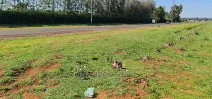 Prime Plots on Sale in Marura Kimumu Near Highway in Eldoret