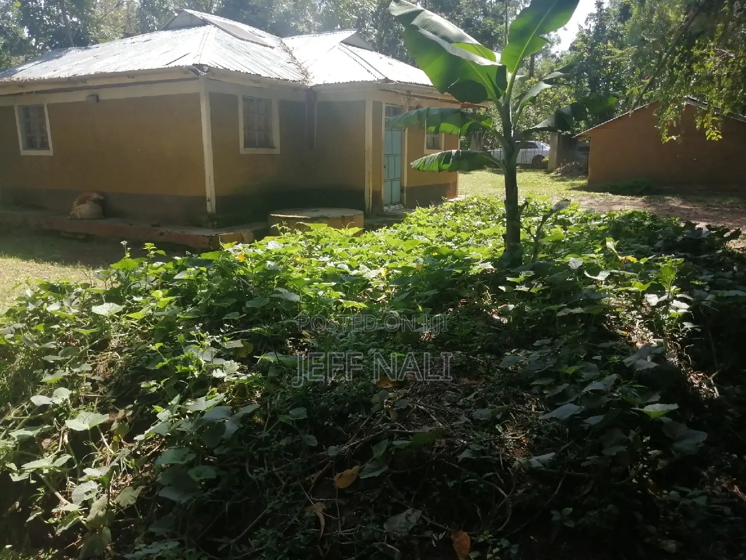 2bdrm Bungalow in Khabakaya, East Wanga for Sale