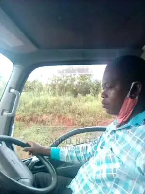 Seeking Driver Cv
