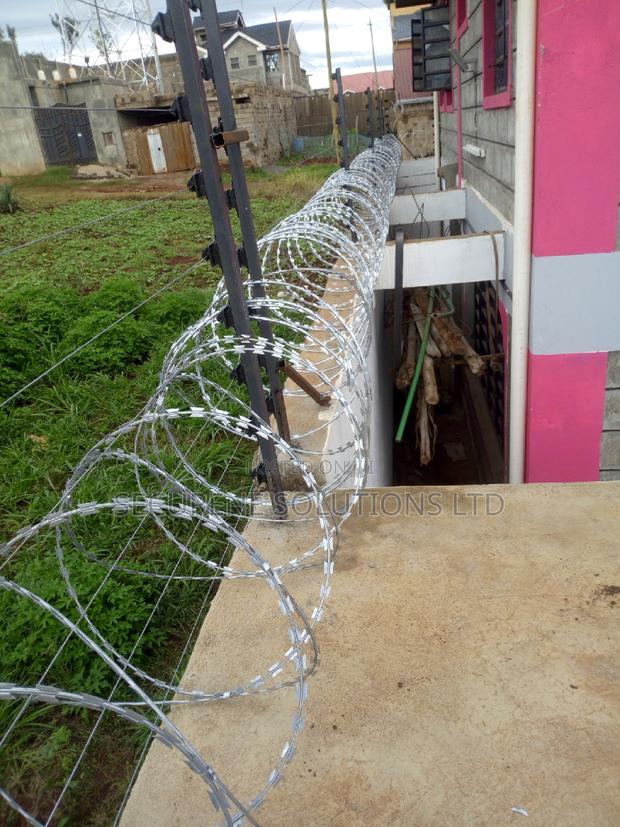 Double Galvanised 450mm Razor Wire Both Silver And Green - thumbnail 3