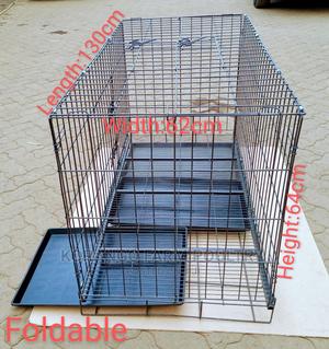 2 Years Kennel Houses - thumbnail 2