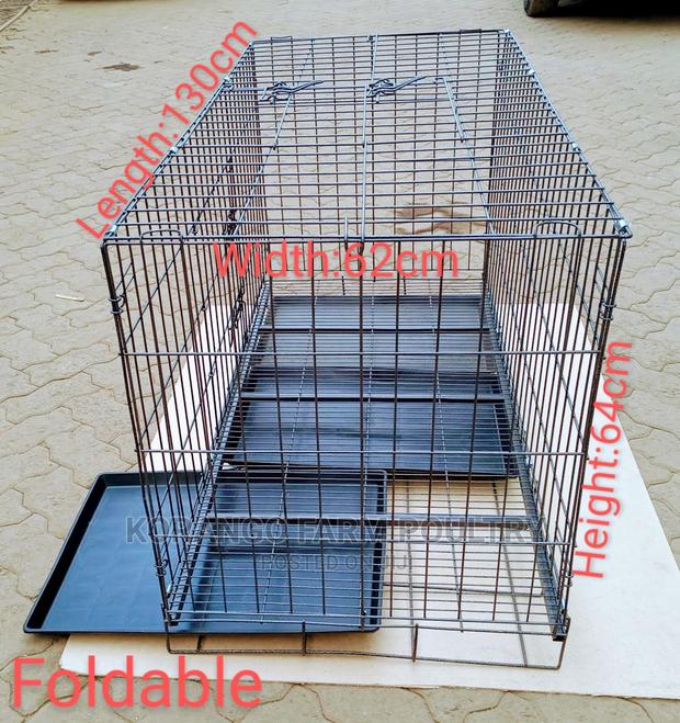 2 Years Kennel Houses - main view