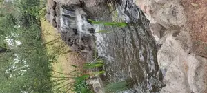 Repair and Construction of Ornamental Fish Ponds