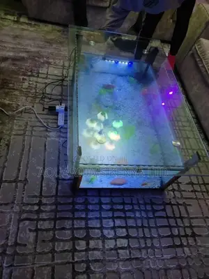 Table Aquarium, 230litres