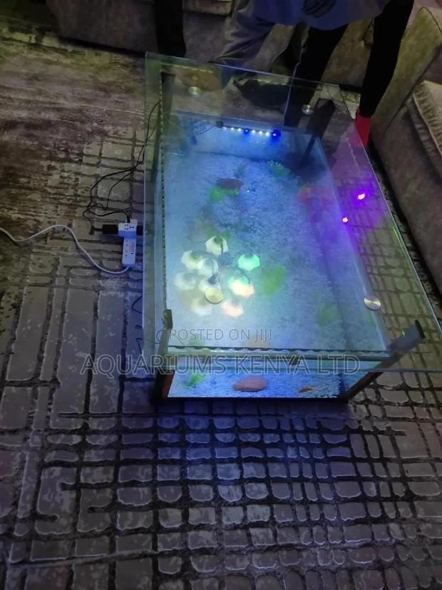 Table Aquarium, 230litres - main view