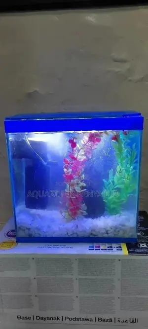 Affordable 10L Aquarium, Small Aquarium, Aquarium, Aquarium