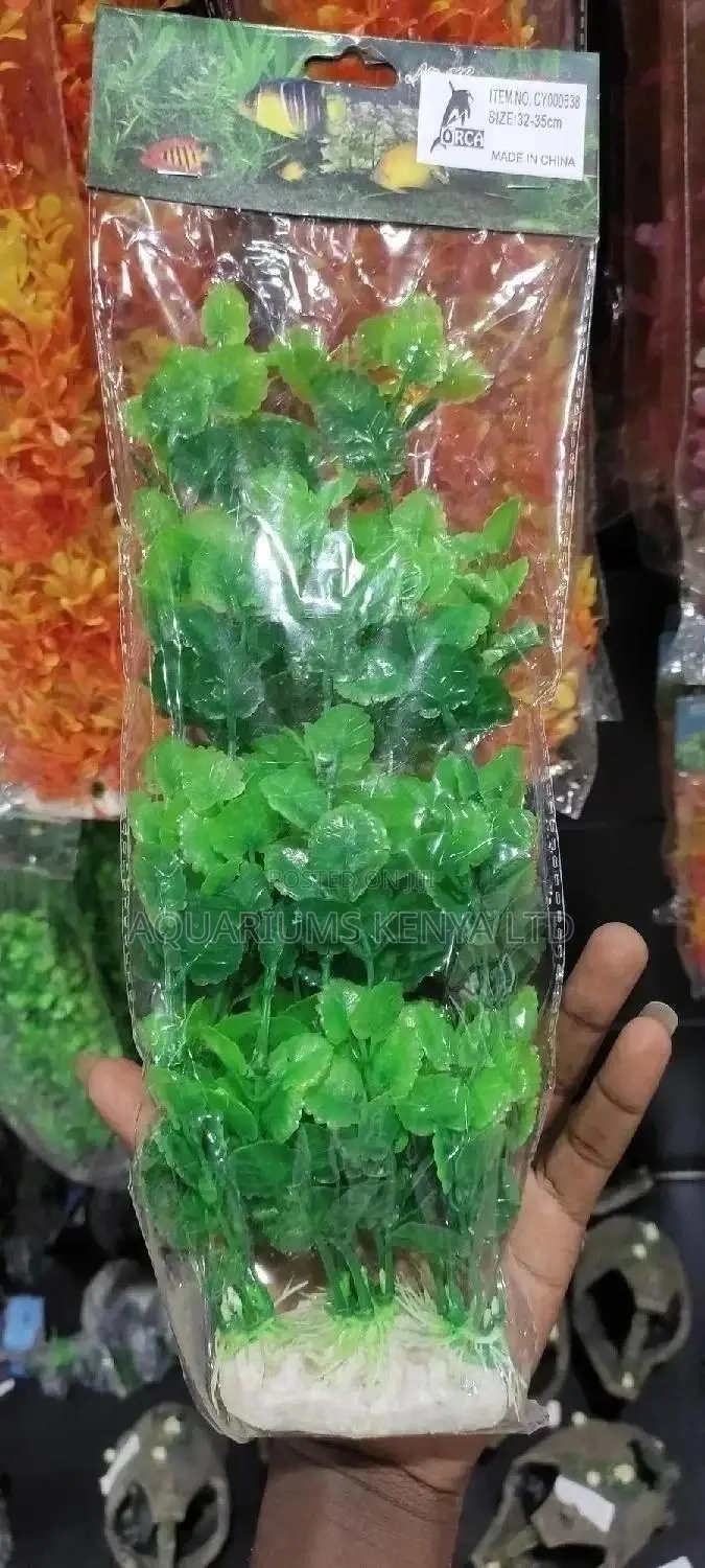 Green and Bulky Aquarium Plants