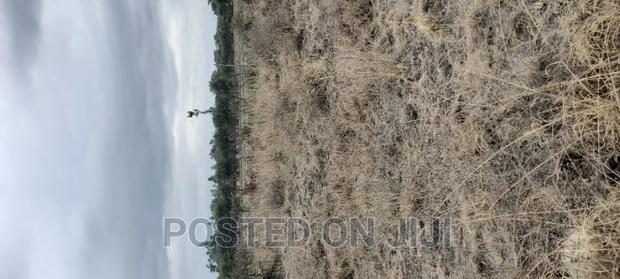 Plots for Sale - thumbnail 2