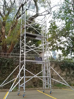 Scarfolding Ladders