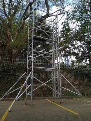 Scarfolding Ladders
