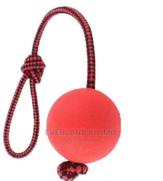 Dog Toy Ball With a Rope - main view